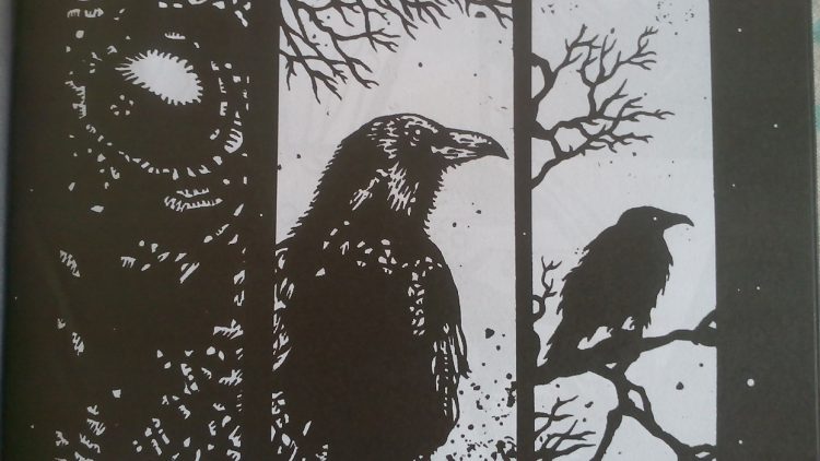 O Corvo de Leander Moura traz com perfeição o ambiente triste e sombrio de Edgar Allan Poe