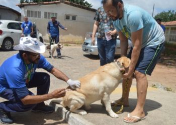 Natal encerra Campanha de Vacinação Antirrábica nesta sexta