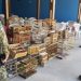 Operação da Guarda Municipal resgata 214 pássaros silvestres em feira livre de Natal