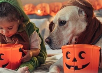 Praia Shopping promove Festa de Halloween para a criançada