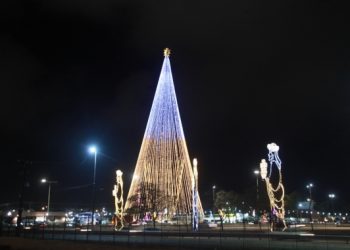 Licenciamento dos ambulantes da Árvore de Mirassol é prorrogado