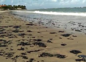 Ministério Público institui Gabinete de Crise Ambiental para acompanhar danos do petróleo no litoral