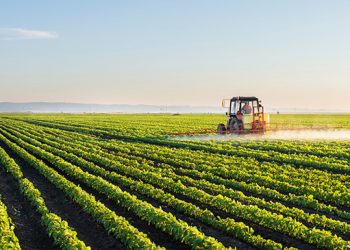 UFRN e Emparn discutem parceria na área agroindustrial