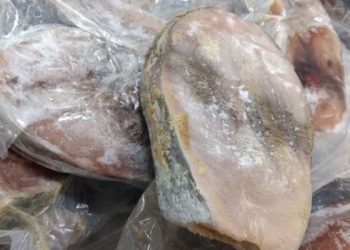 Operação Retorno: Câmara nega Habeas Corpus para acusado de transportar drogas como “peixes”