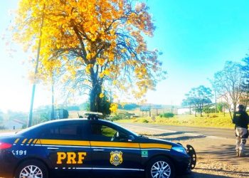 Balanço – Operação Ano Novo 2020 da PRF