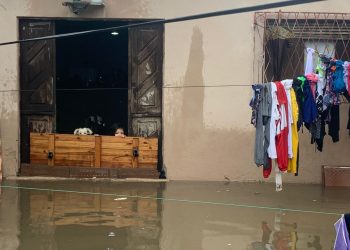Água da chuva empoçada há mais de uma semana em rua de Natal invade casas e causa prejuízos a moradores