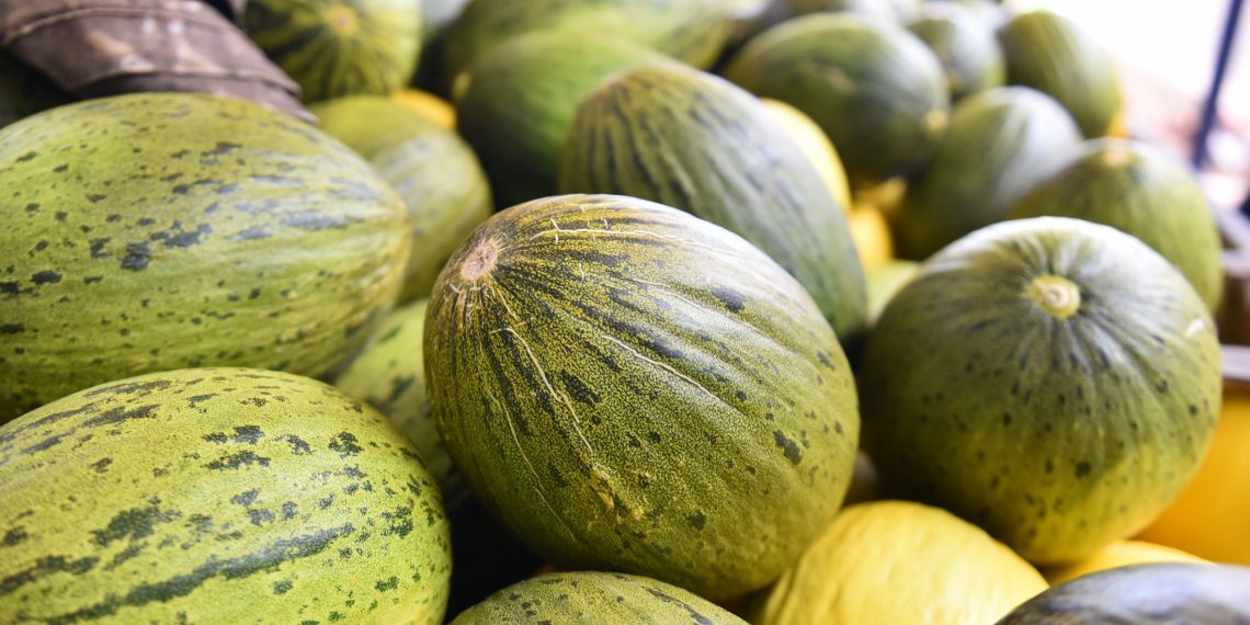 Alta na exportação de melões eleva o superávit da balança comercial