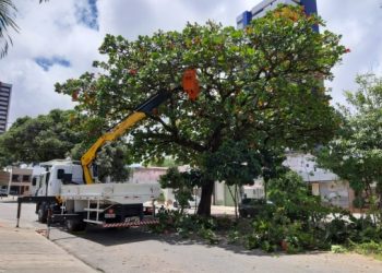 Natal: Avenida Câmara Cascudo e Largo Junqueira Aires são interditados nesta quinta