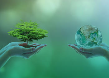 Aluna da UFRN propõe estudo para aumentar conservação de biodegradáveis