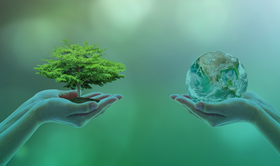 Aluna da UFRN propõe estudo para aumentar conservação de biodegradáveis