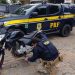 Homem é preso e adolescente é apreendido na BR 304 em Macaíba logo após roubar motocicleta em Parnamirim