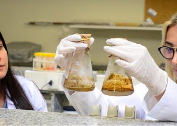 Biotecnologia no universo microbiano