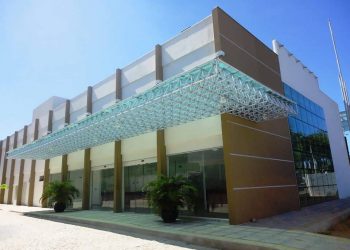 Museu Câmara Cascudo comemora o Dia do Paleontólogo