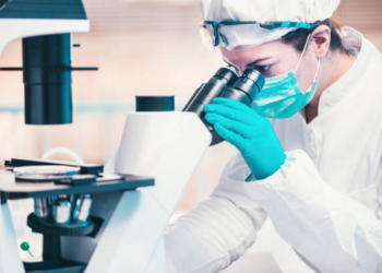 Descoberto vírus brasileiro que tem 90% de seus genes desconhecidos