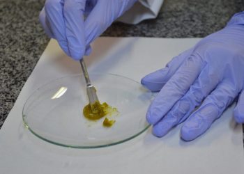 Gel anti-inflamatório com plantas da Caatinga