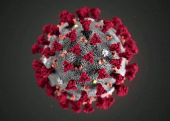 Escolas privadas de Parnamirim aguardam posição do Governo sobre Interrupção ou não das aulas