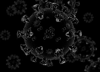 No RN: 28 casos confirmados de coronavírus