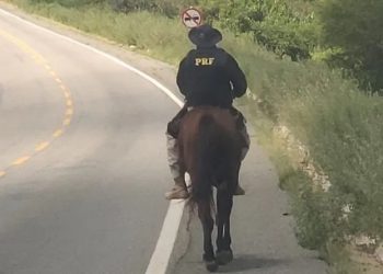 Adolescente é apreendido após furtar de cavalo