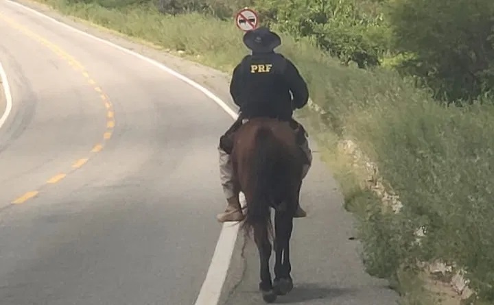 Adolescente é apreendido após furtar de cavalo