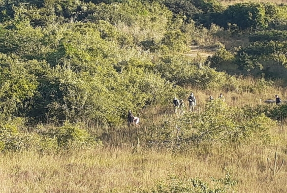 Guarda Municipal apreende menor infrator e réplica de pistola no Parque da Cidade