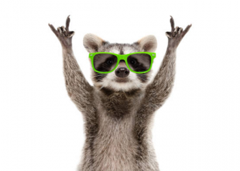 Xô, sertanejo: 5 ótimos shows de rock para assistir online