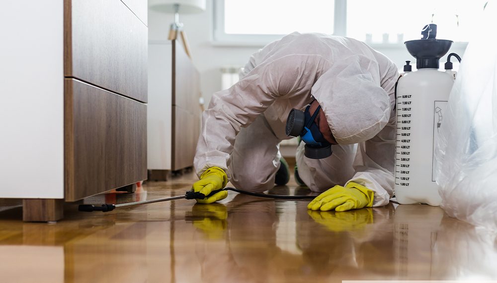 Covid-19: cartilha orienta sobre limpeza da casa