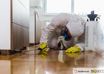 Covid-19: cartilha orienta sobre limpeza da casa