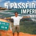5 passeios imperdíveis em Natal – RN II #tomnaestrada