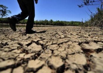 Covid-19 atinge quase 80% do Semiárido nordestino