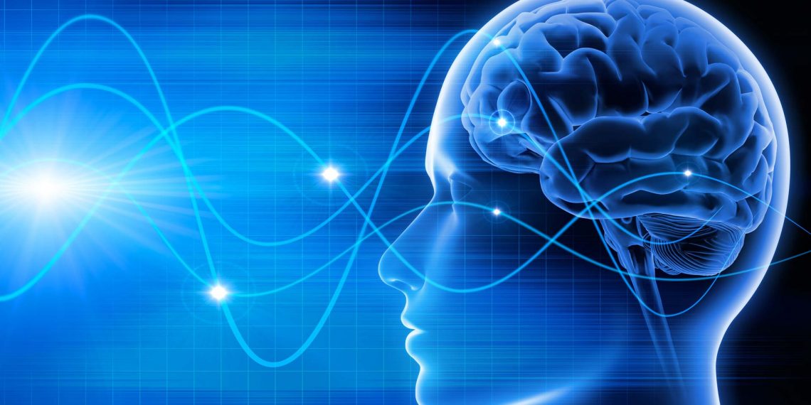 Estudo identifica padrões cerebrais associados à inteligência