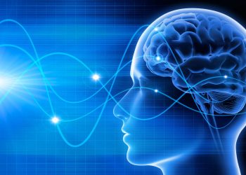 Estudo identifica padrões cerebrais associados à inteligência