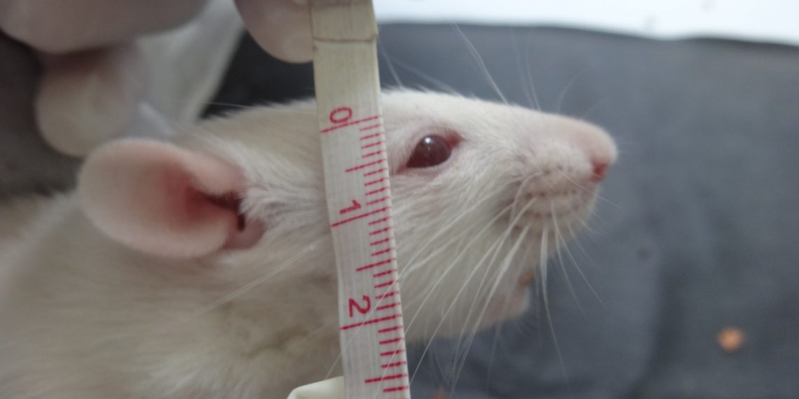 Lesão do nervo facial