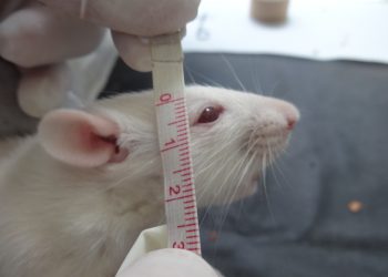 Lesão do nervo facial