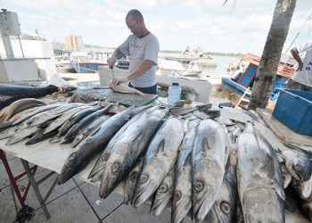Pescado é incluso na merenda escolar do RN