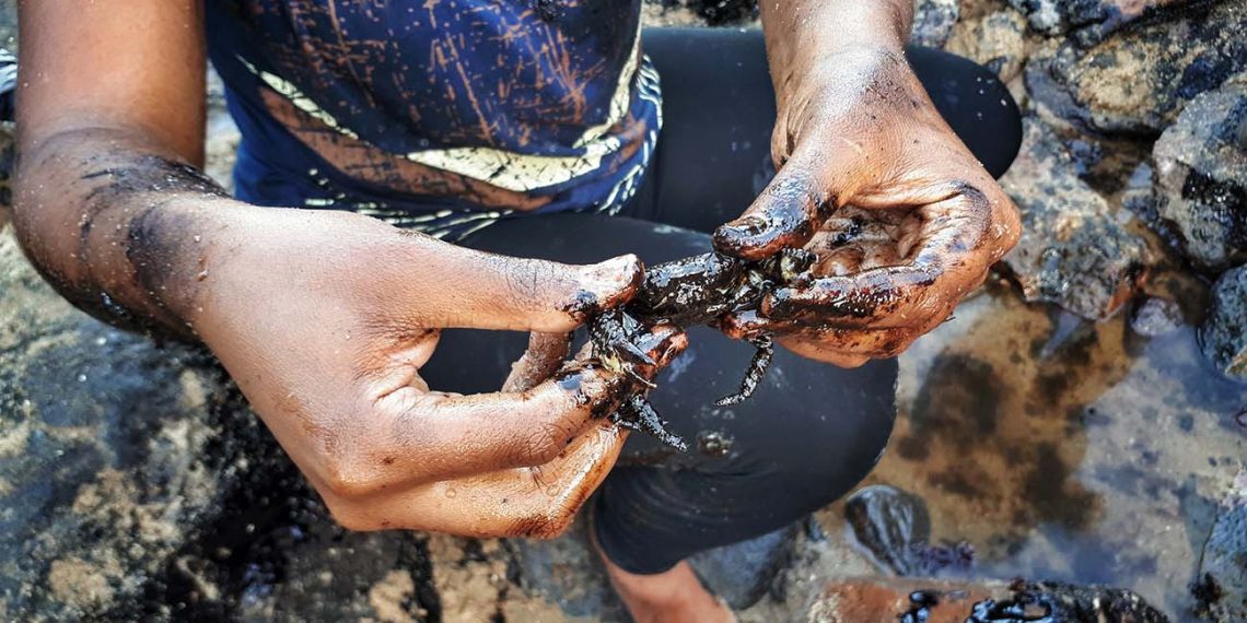 Óleo no Nordeste: um crime sem culpados, punições ou multas