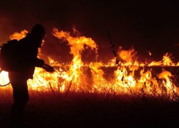 Corpo de Bombeiros pede conscientização da população sobre incêndios florestais