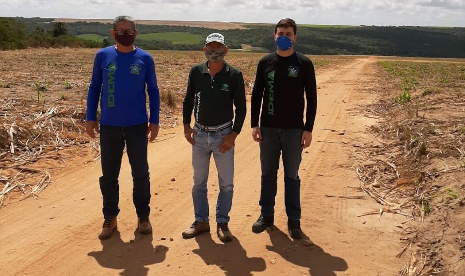 Mata Atlântica em Pé: operação constata desmatamento em Extremoz e Pedro Velho