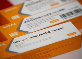 Anvisa autoriza importação de 6 milhões de doses da CoronaVac