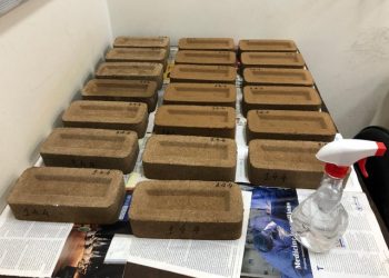 Cientistas da UFRN desenvolvem tijolo ecológico feito com resíduo da produção de sal