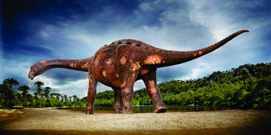 Descoberta na Paleontologia