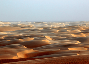 Entre o sertão e o mar