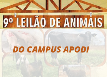 IFRN: Campus Apodi realiza novo leilão de animais