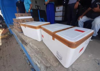 Covid-19: Nova remessa de vacinas é enviada a municípios para imunização de idosos e 2ª dose em profissionais de saúde do RN