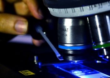 Ciência compartilhada