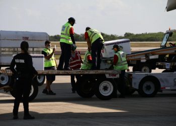 Nota técnica orienta aplicação de novas doses da Coronavac