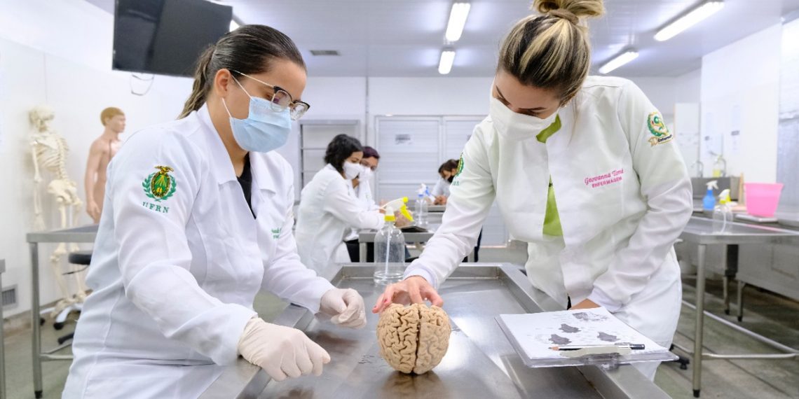 Incentivo ao estudo da anatomia