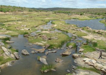 Alterações ambientais da transposição do São Francisco