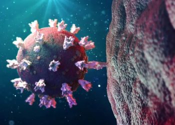 Estudo rastreia transmissão da linhagem P.1 e identifica potencial nova variante no RN