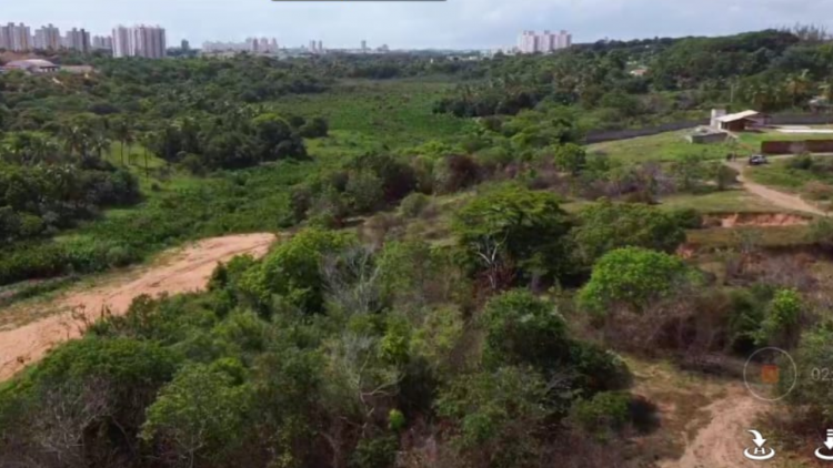 Semur monitora a situação de falésias e margens do Rio Pitimbu, em Parnamirim