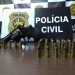 Polícia Civil deflagra 17ª fase da Operação Parabellum